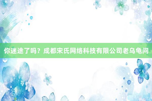 你迷途了吗？成都宋氏网络科技有限公司老乌龟问