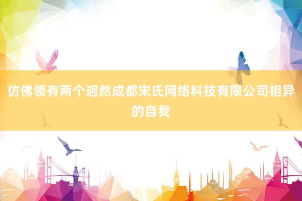 仿佛领有两个迥然成都宋氏网络科技有限公司相异的自我