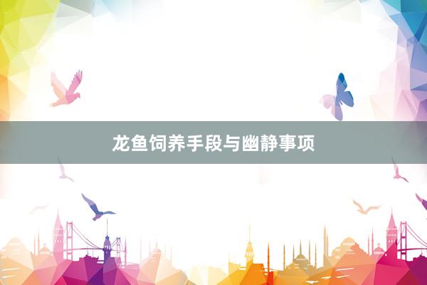 龙鱼饲养手段与幽静事项