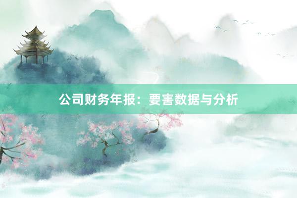公司财务年报：要害数据与分析